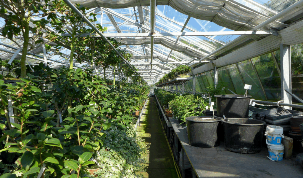 Nursery Shelving Near Changing Tables