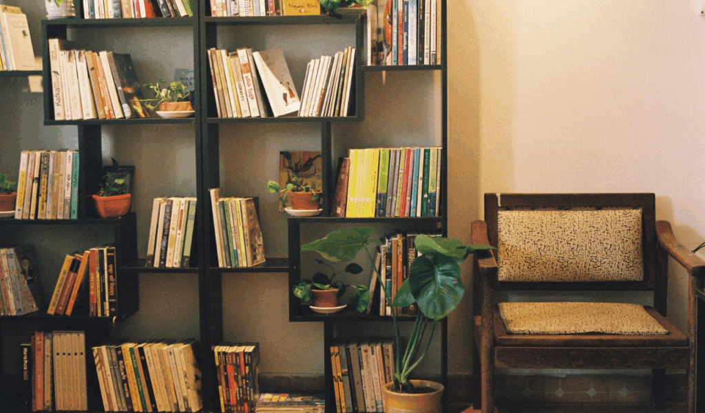 Deep Bookshelves with Small Trinkets