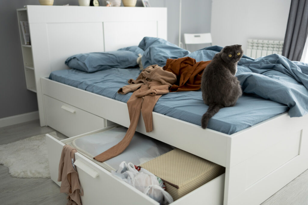 Maximize Bedroom Space With Under-Bed Storage Boxes
