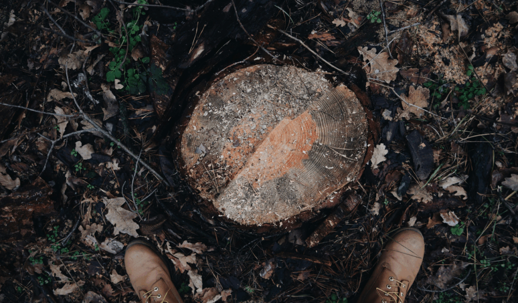 Papercrete Faux Stumps