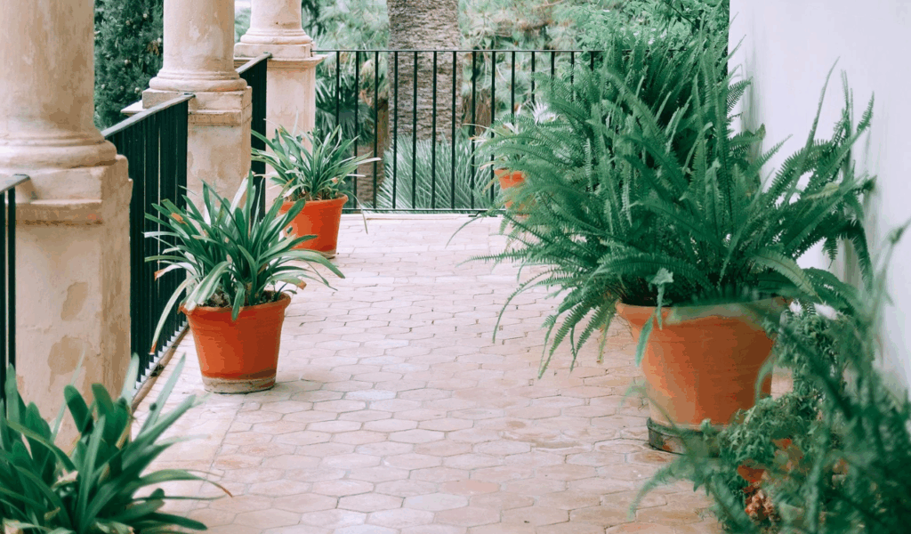 Unglazed Terracotta Hexagons