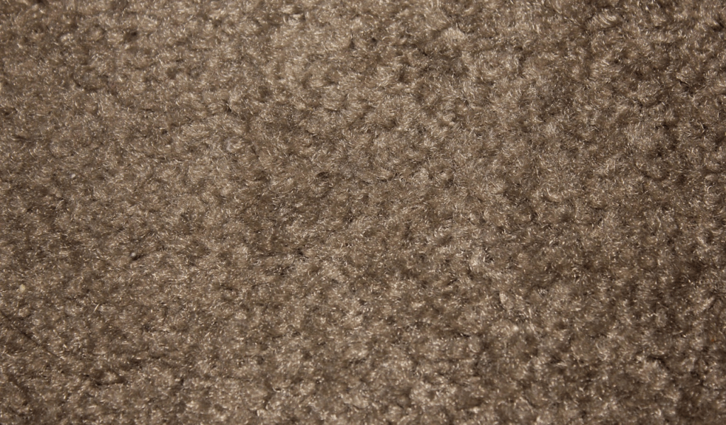 Forgetting the Importance of Texture