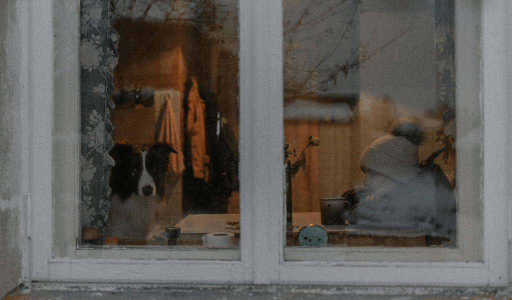 The "Grid" or Windowpane Mirror
