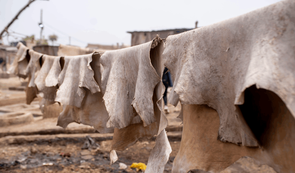 Thin-Skinned "Seconds" from Industrial Farms
