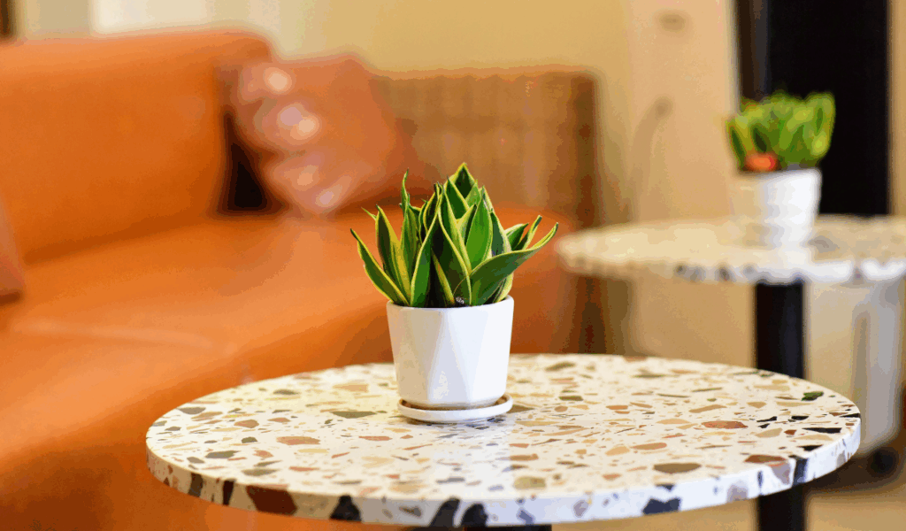 Porous Cement-Based Terrazzo