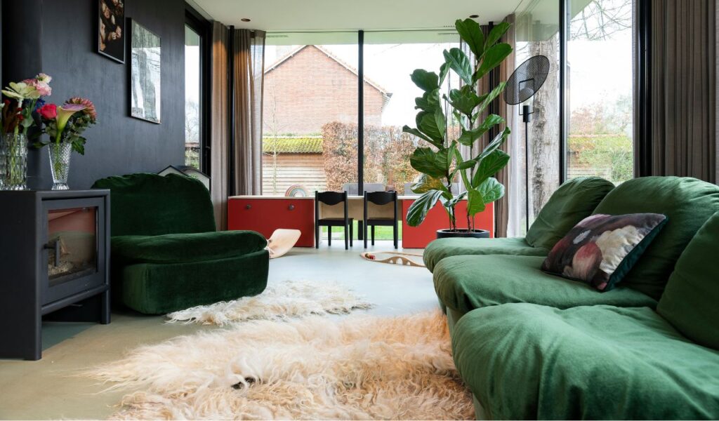 Living Room with plants an natural light