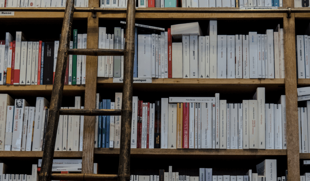 Solid Wood Ladder Shelves