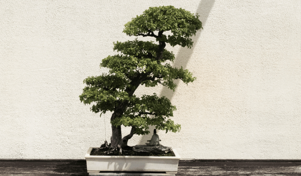 Large-Scale Indoor Trees and Greenery