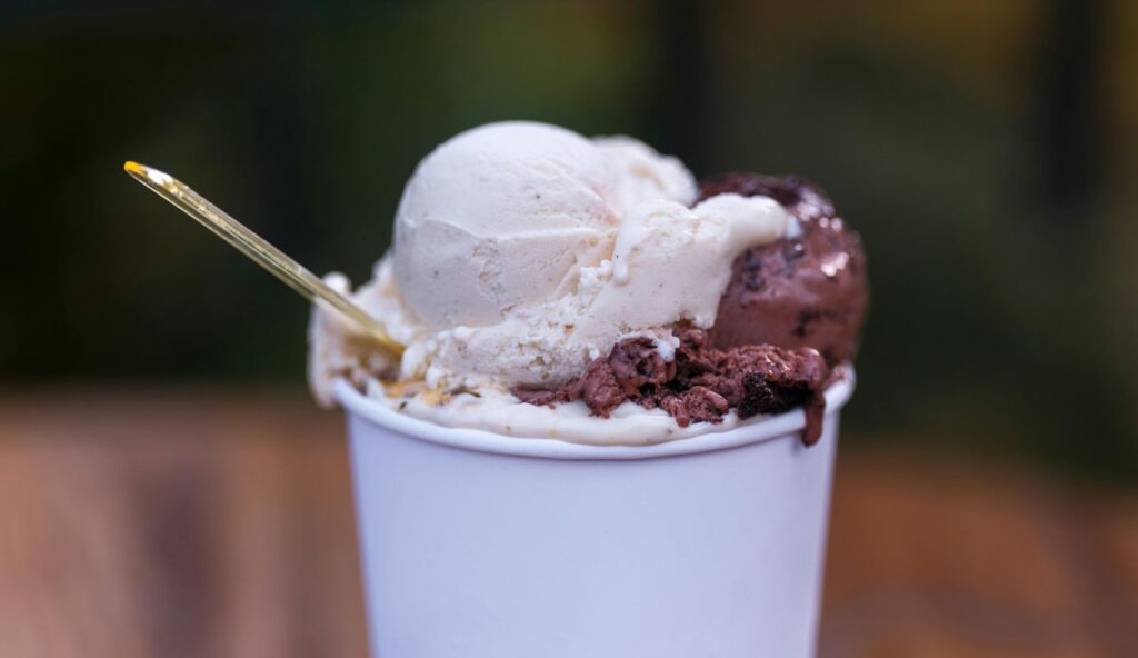 Dairy-Free Nut Milk Scoops