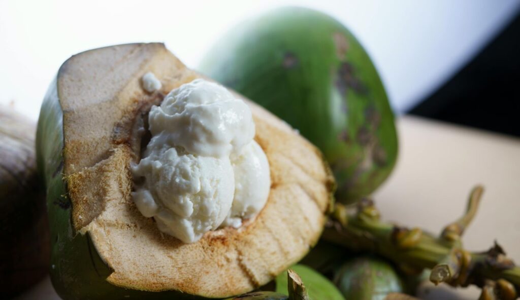 Vegan Coconut Oil Scoops