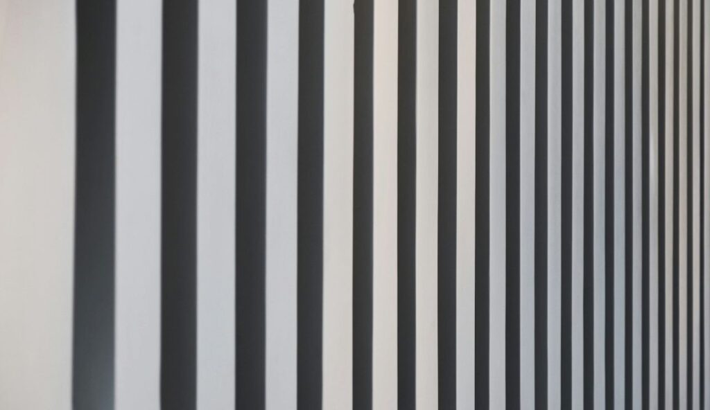 Black-and-White Optical Illusions