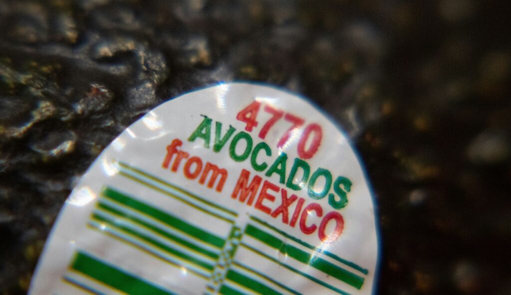 The Oversized Avocado Label