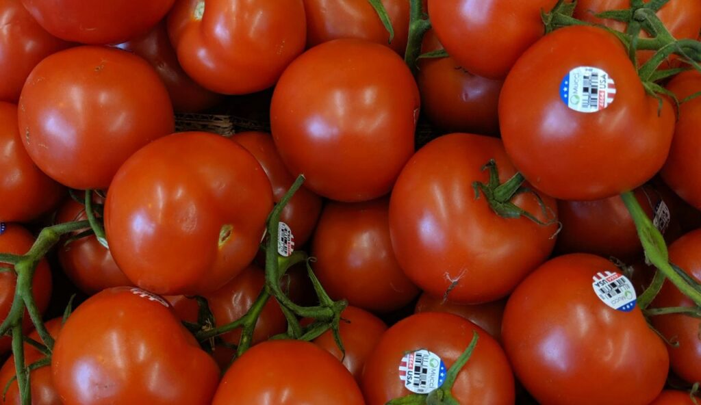The Tomato Vine Tag 