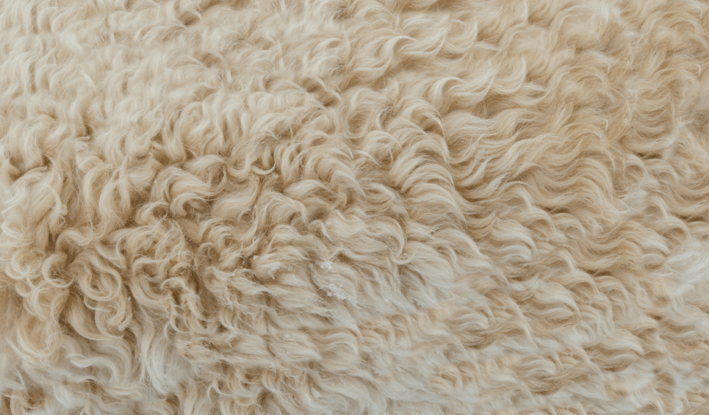 Low-Grade Acid-Bleached Hides