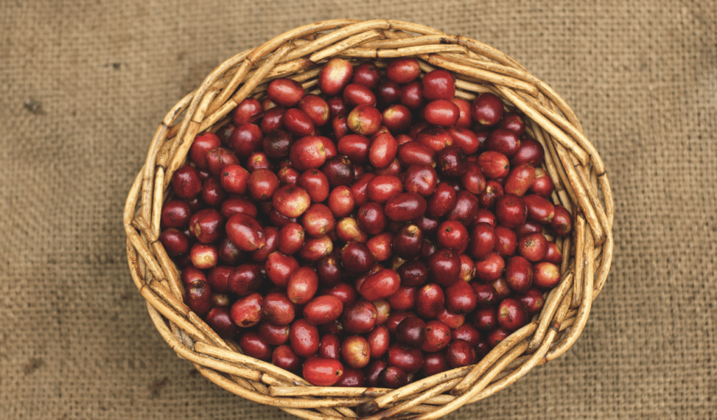 Tight-Knit "Belly" Baskets with Lids
