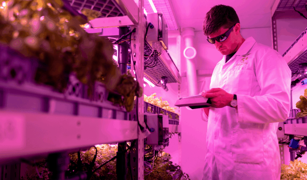 The Future of Farmers Markets and Sourcing Practices