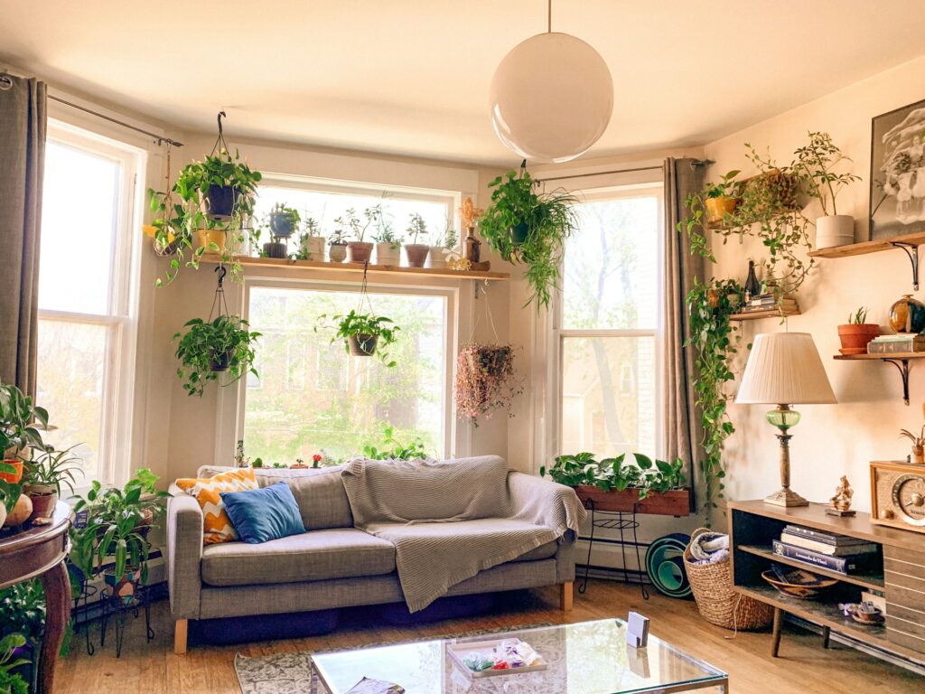Add Plants for Life and Texture