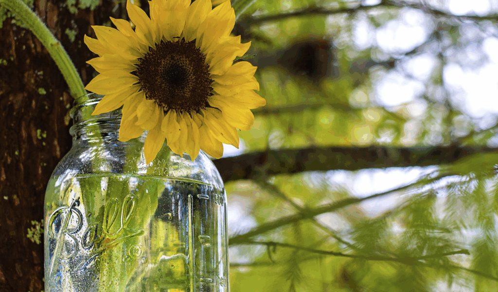 The Overly Floral "Botany" Jar