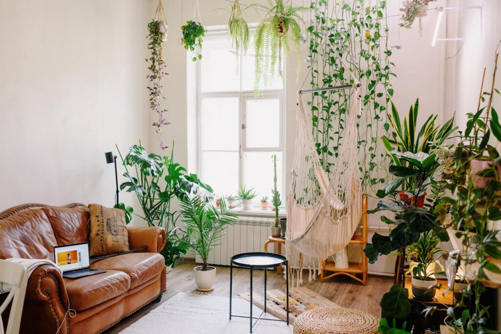 Large Indoor Plants In Living Spaces