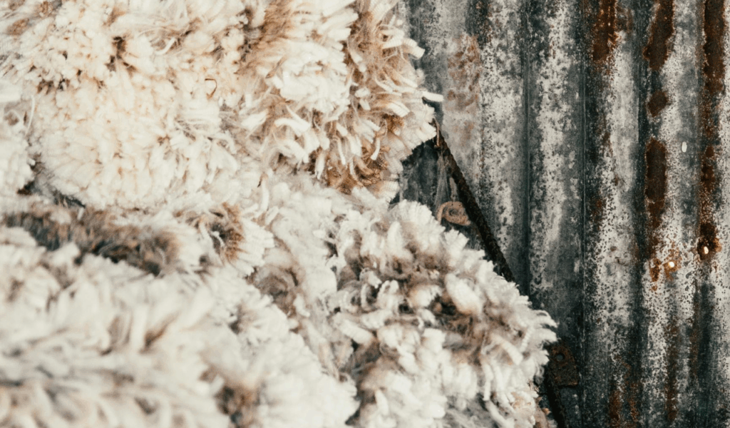 Non-Scoured "Raw" Fleece Runners