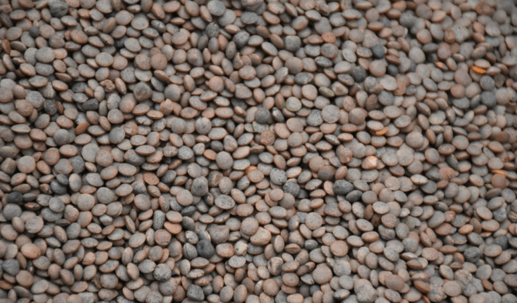 Dry Beans and Legumes