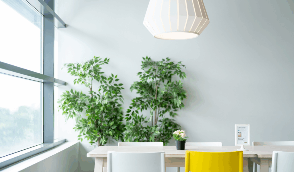 Biophilic Urbanism
