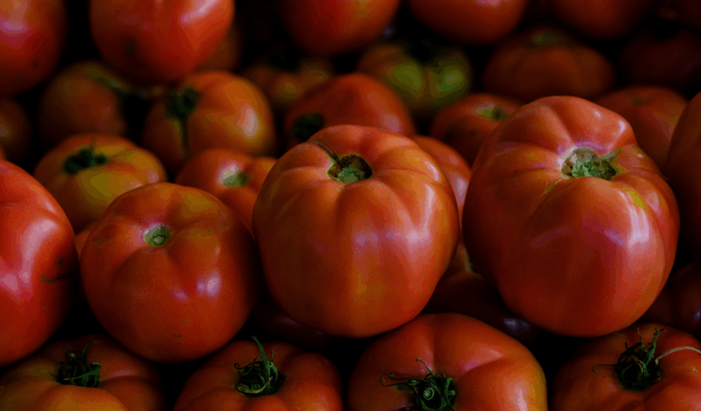 The Growing Trend of Sourcing from Distributors