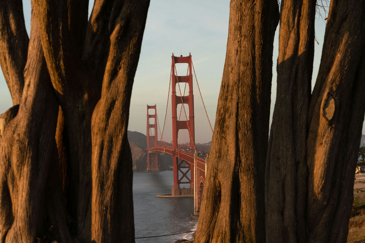 Hyper-Realistic Graphics