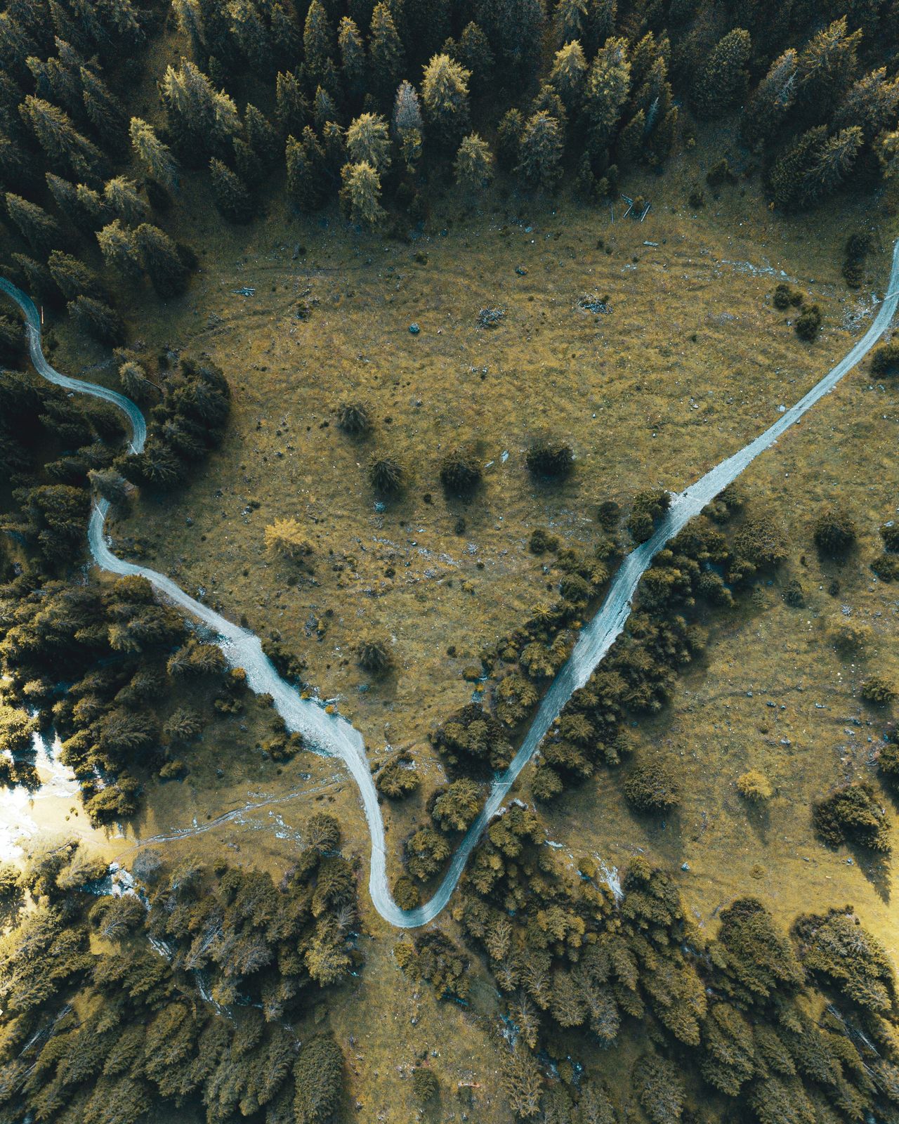 Massive Open World