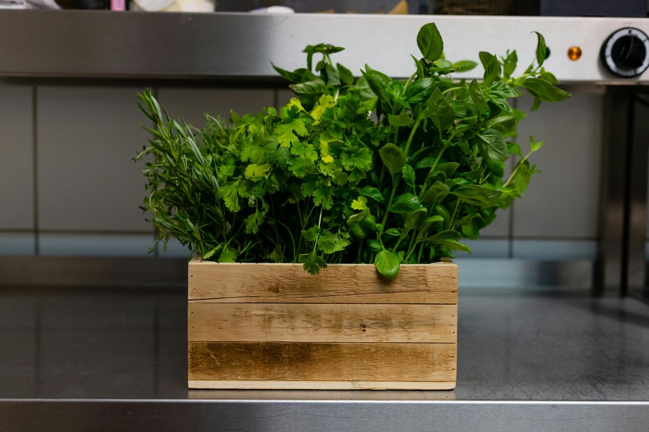 Always Use Fresh Herbs