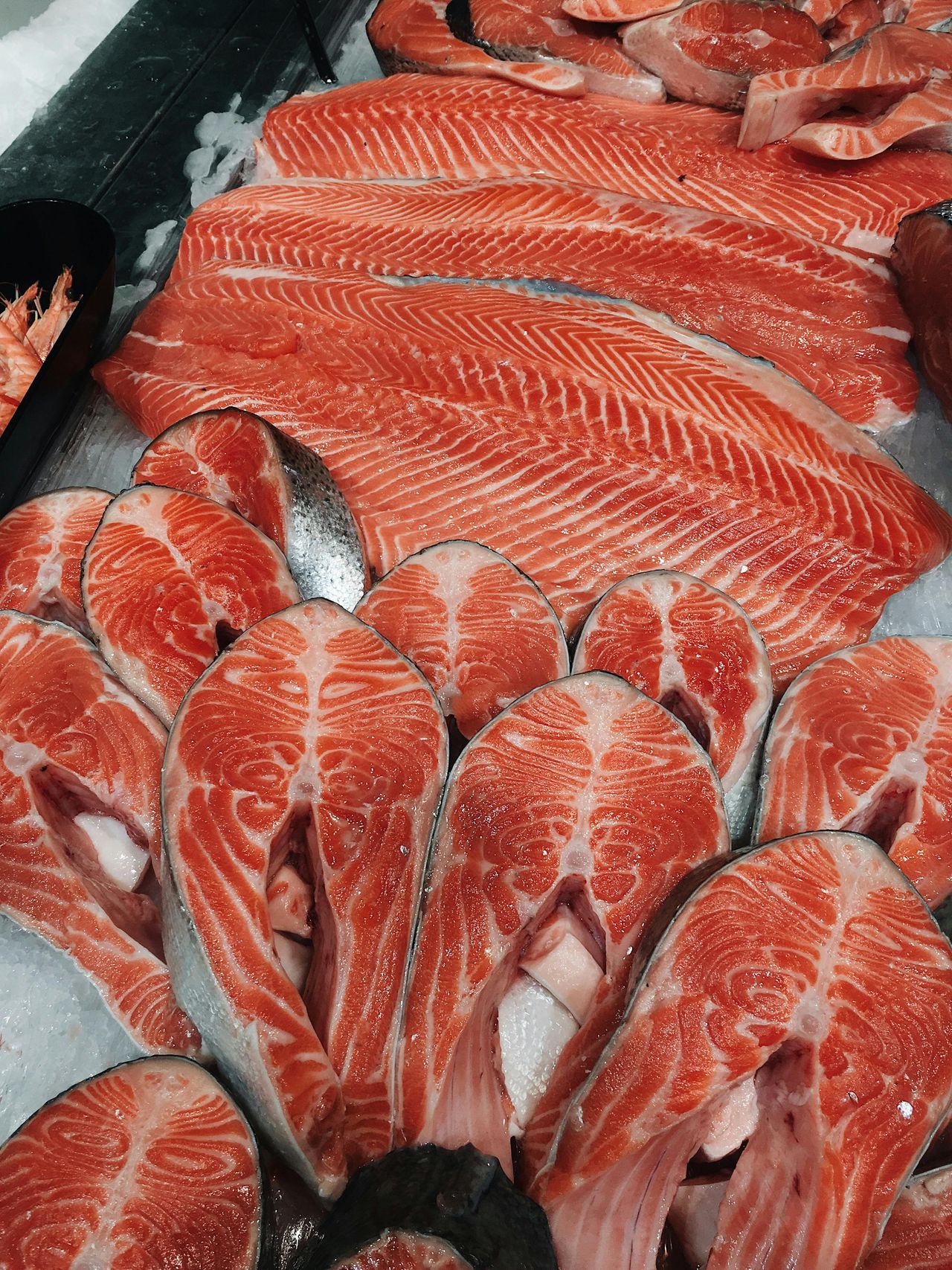 Farmed Salmon