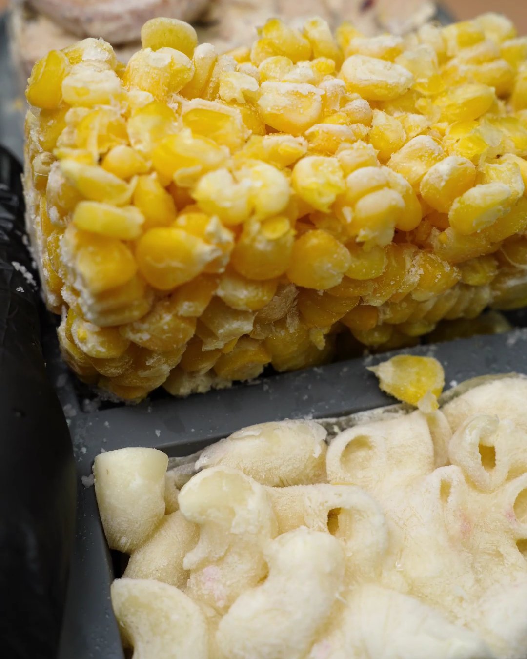 Frozen sweet corn block being lifted out of a silicone freezer mold next to a frozen macaroni block